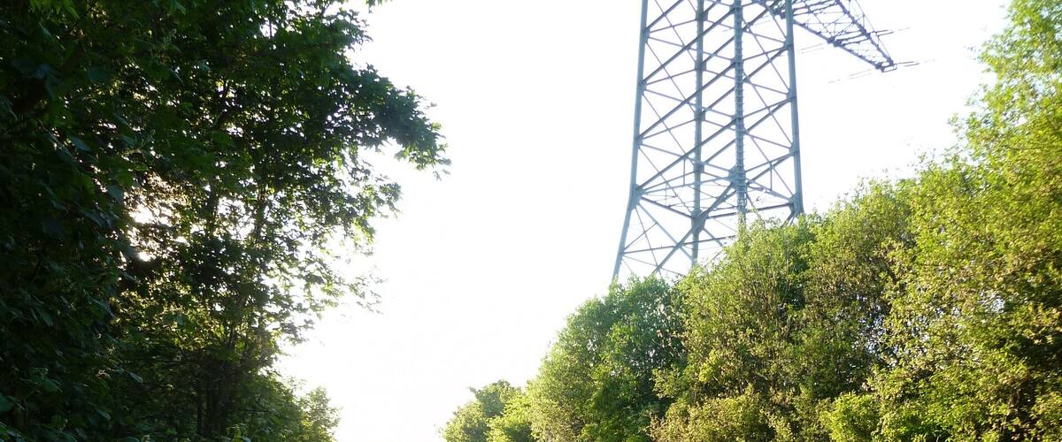 A rural road flanked by dense greenery and a large power line tower.