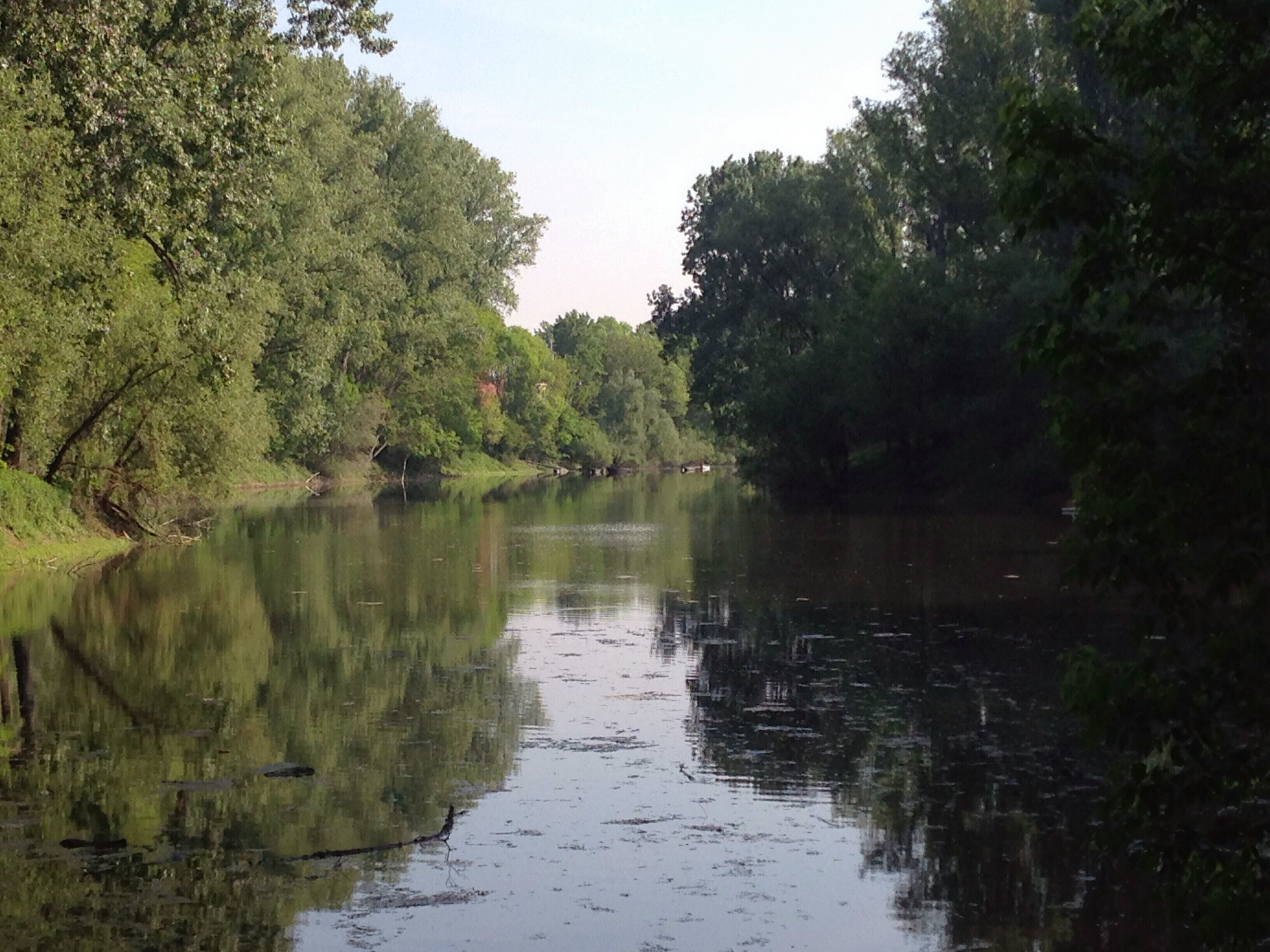 A calm river with dense trees on both sides.