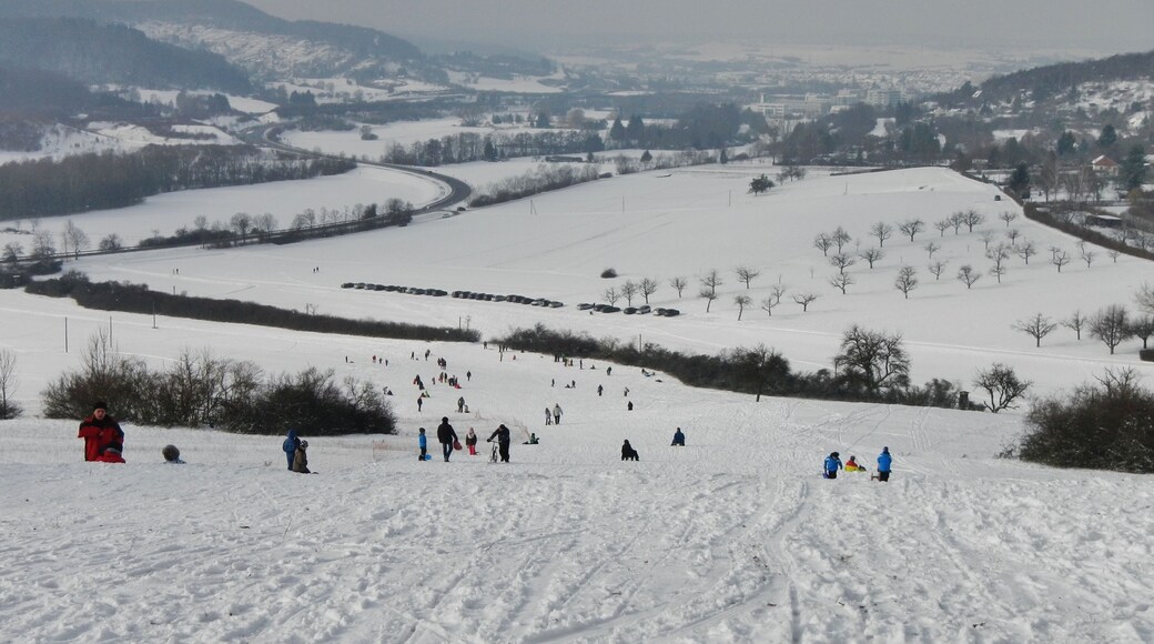 Rodelhang bei Leonberg