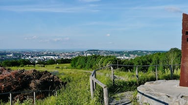 A tall brick structure with inscriptions, surrounded by greenery and a distant cityscape.