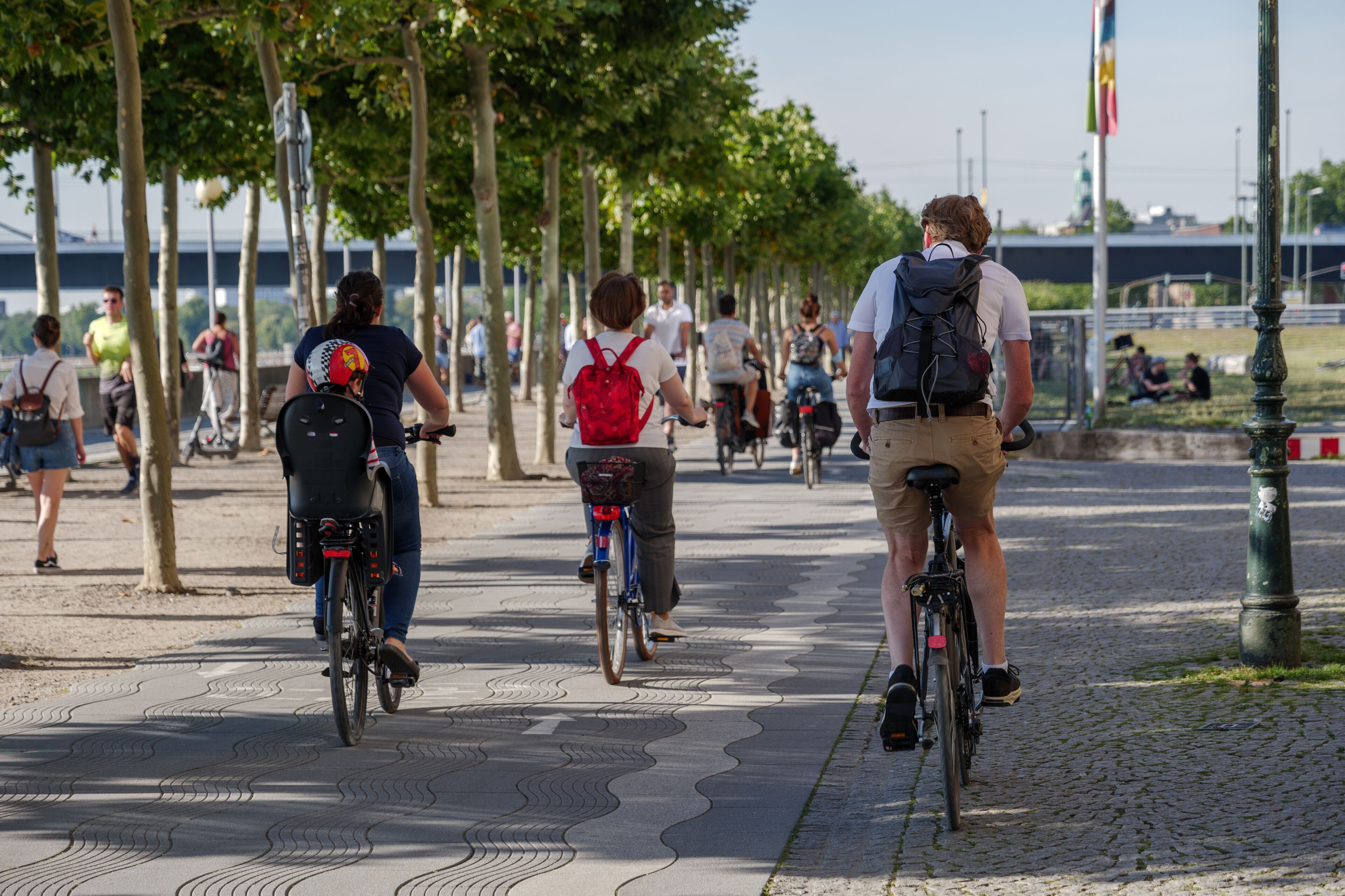 Un camino pavimentado bordeado de árboles, ciclistas y un puente a lo lejos.