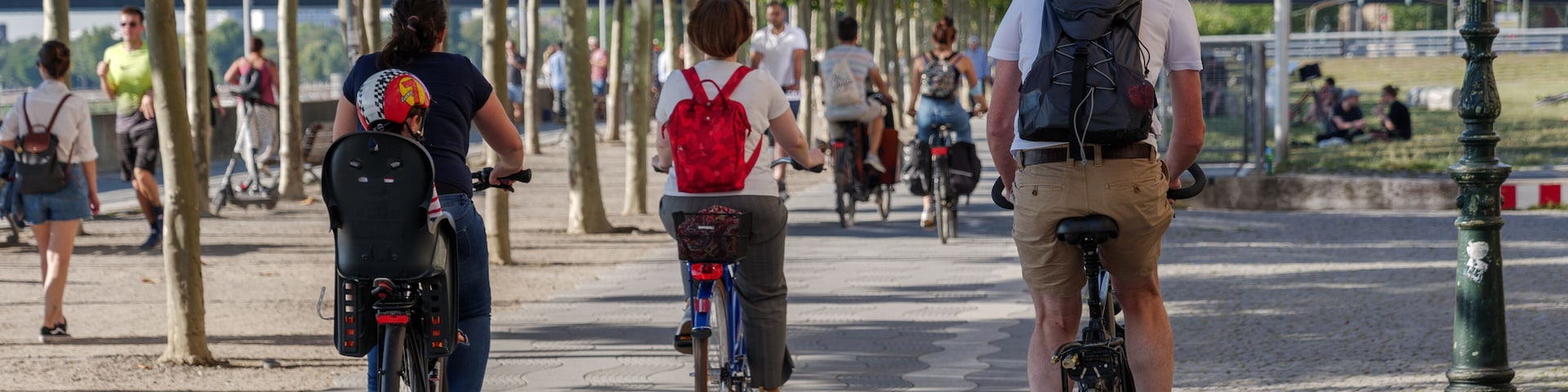 Uma trilha pavimentada bordeada por árvores, ciclistas e uma ponte ao longe.
