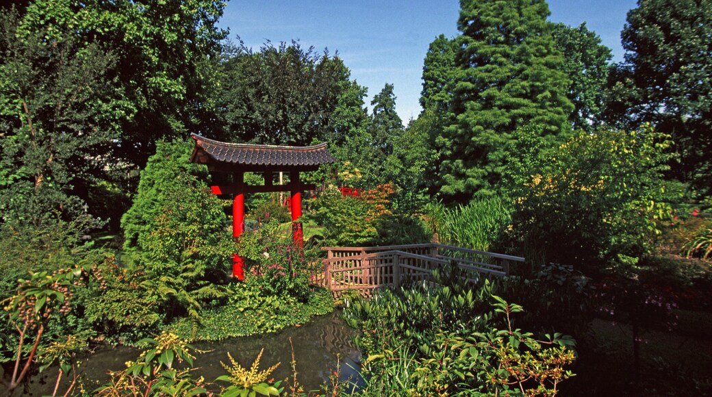 Leverkusen featuring a garden and a bridge