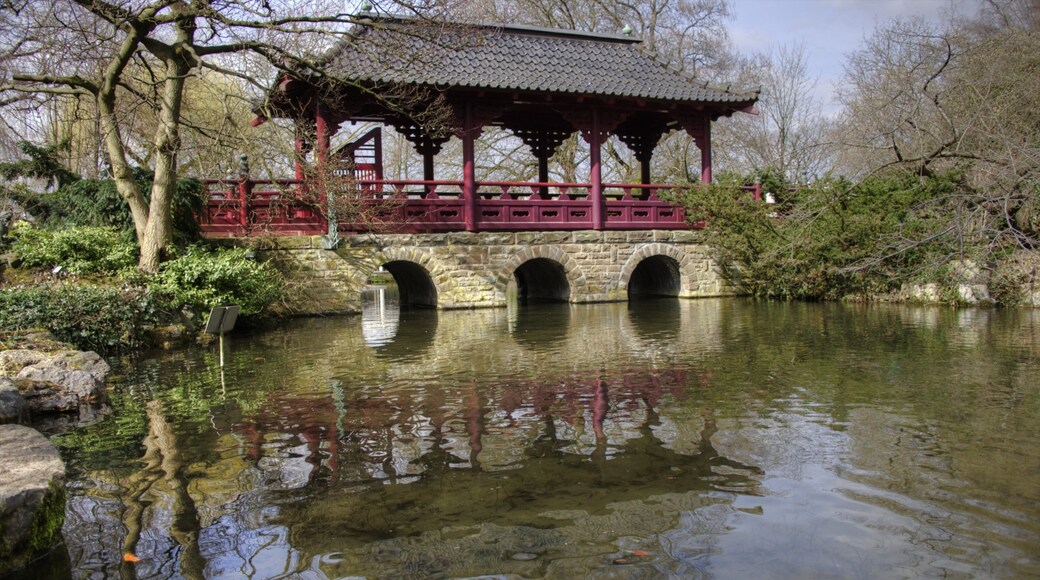 Leverkusen showing a pond and a bridge