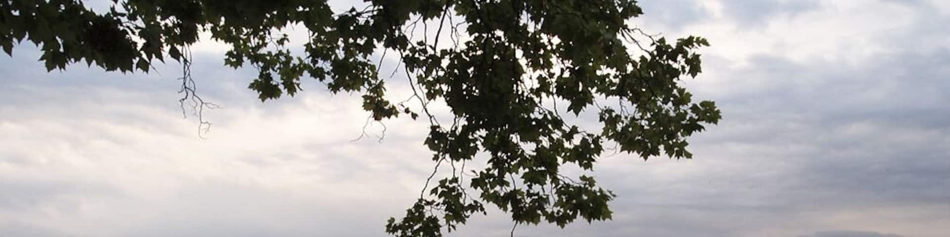 Blick auf Lindau vom Lindenhofpark (8/2011)