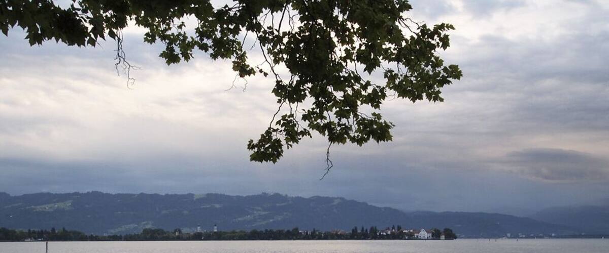 A lakeside view with a metal fence, trees, and distant mountains.