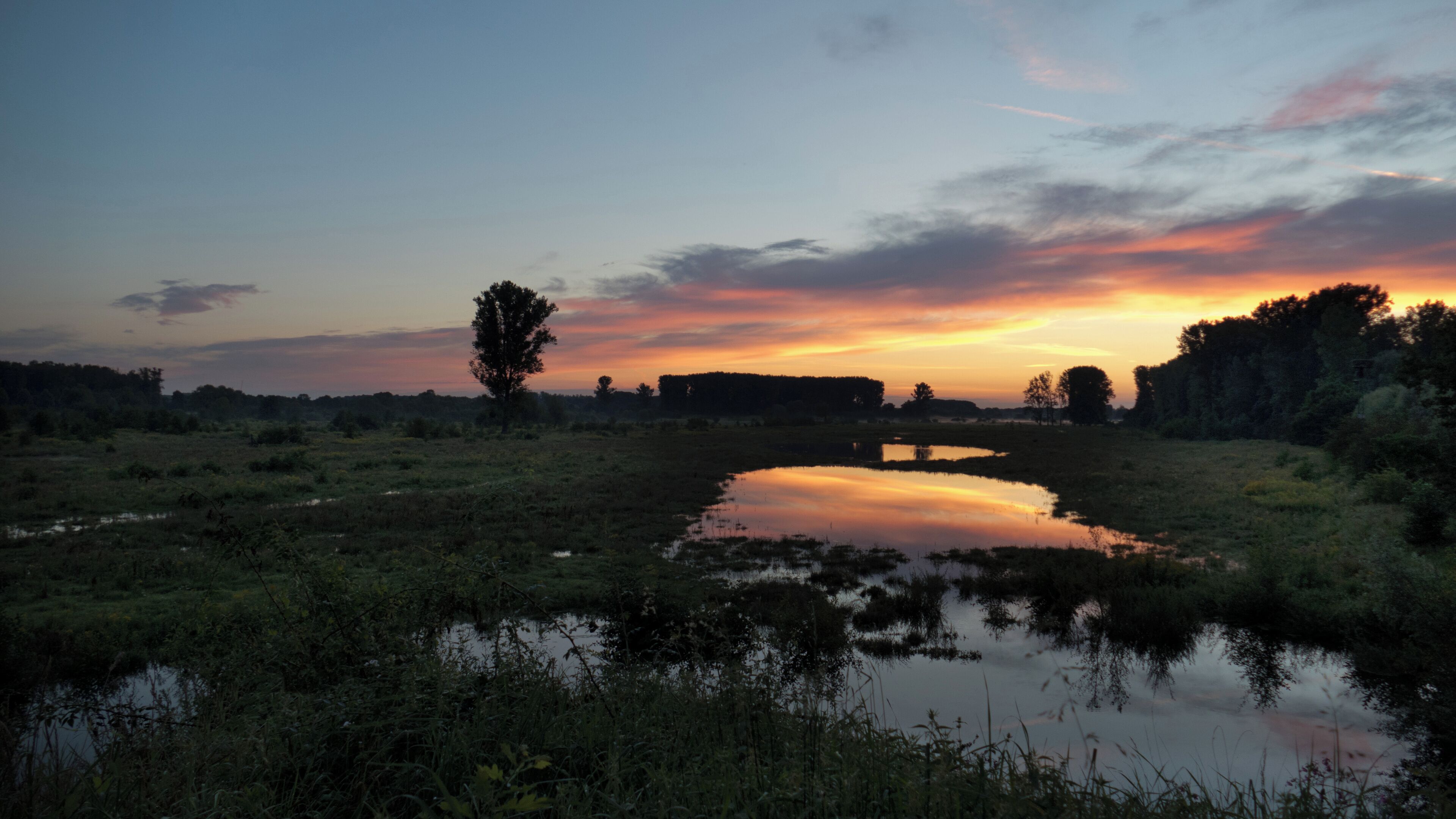 Naturschutzgebiet Lippeaue - Hellinghäuser Mersch