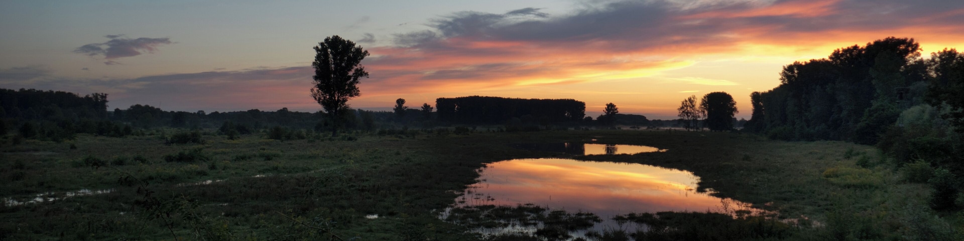 Naturschutzgebiet Lippeaue - Hellinghäuser Mersch
