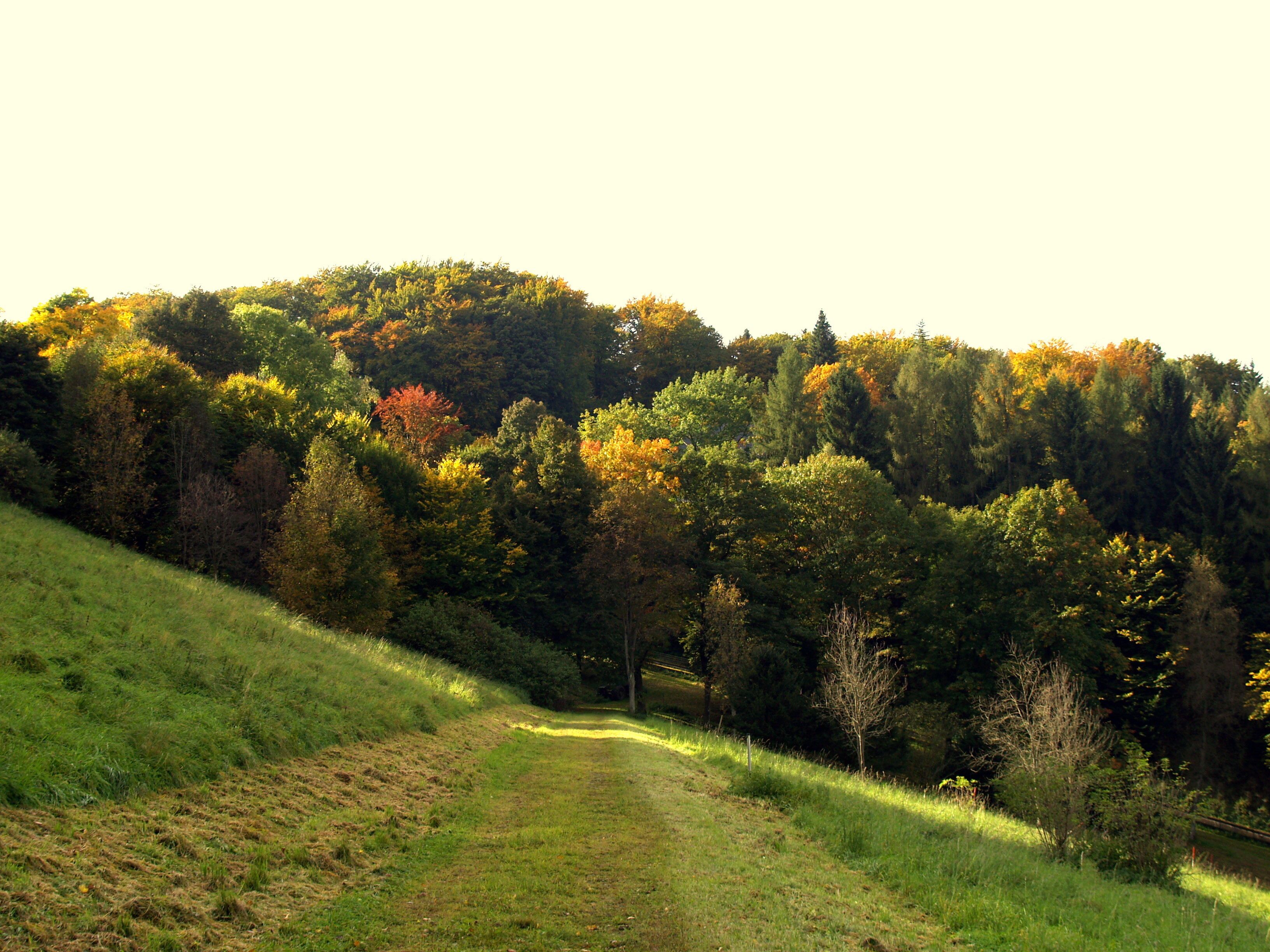 Versetalsperre (dam)