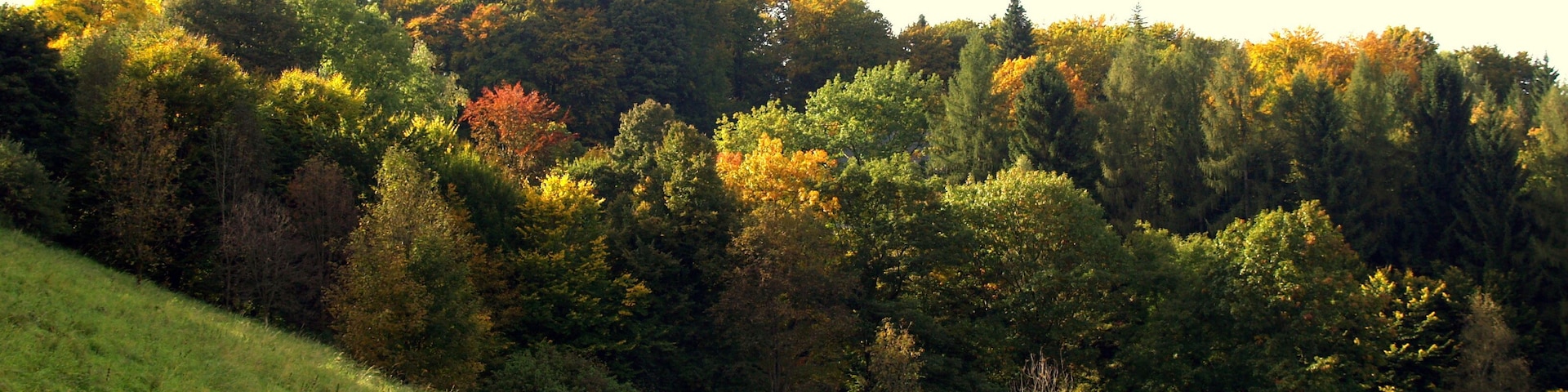 Versetalsperre (dam)