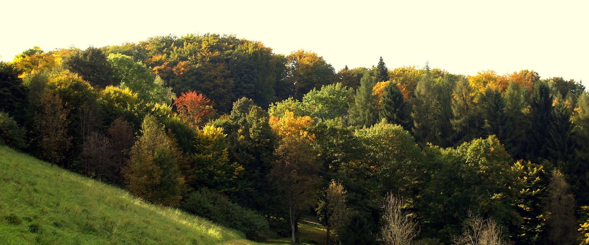 Versetalsperre (dam)