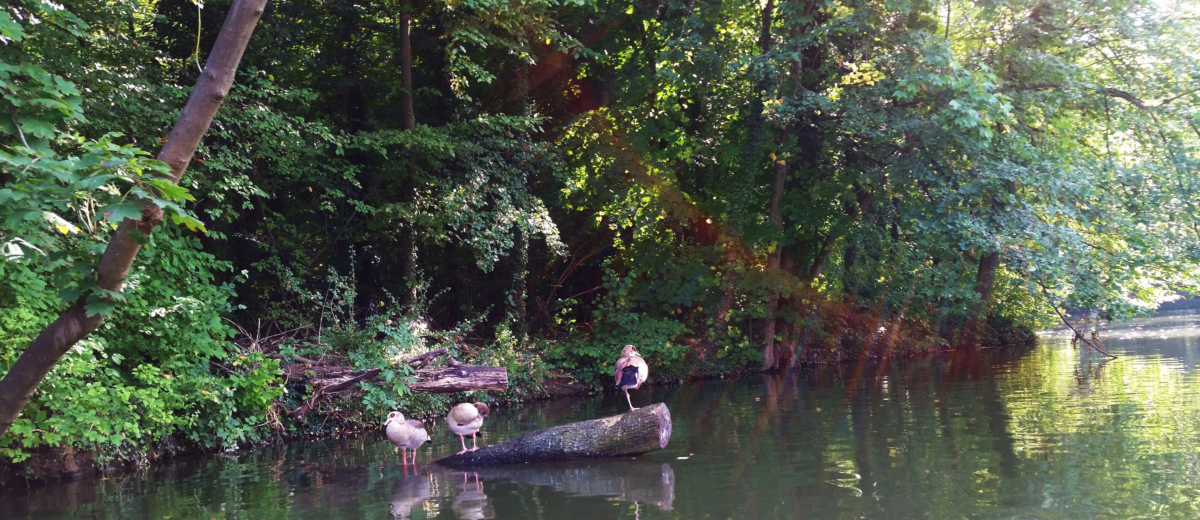 Ludwigsburg - SCHLOSSPARK - Monrepos