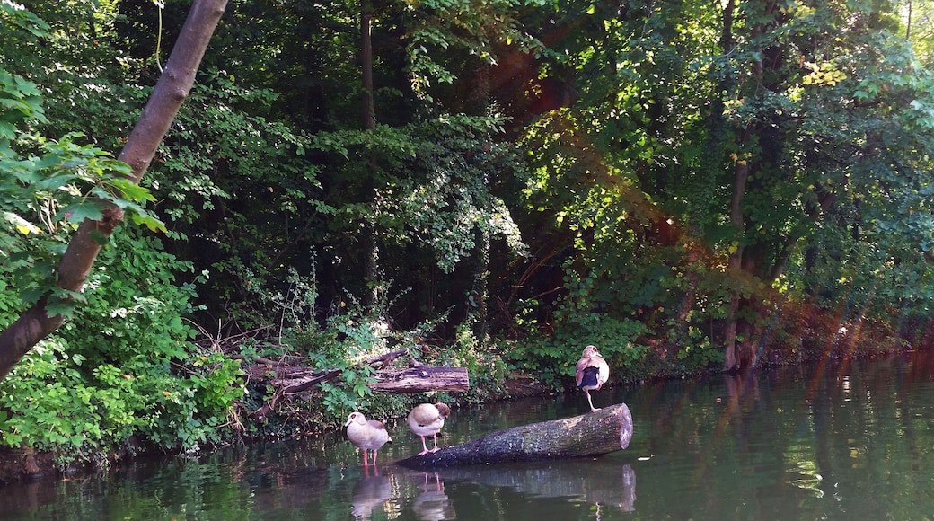 Ludwigsburg - SCHLOSSPARK - Monrepos