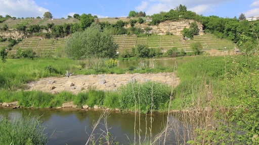 Neckarbiotop Poppenweiler