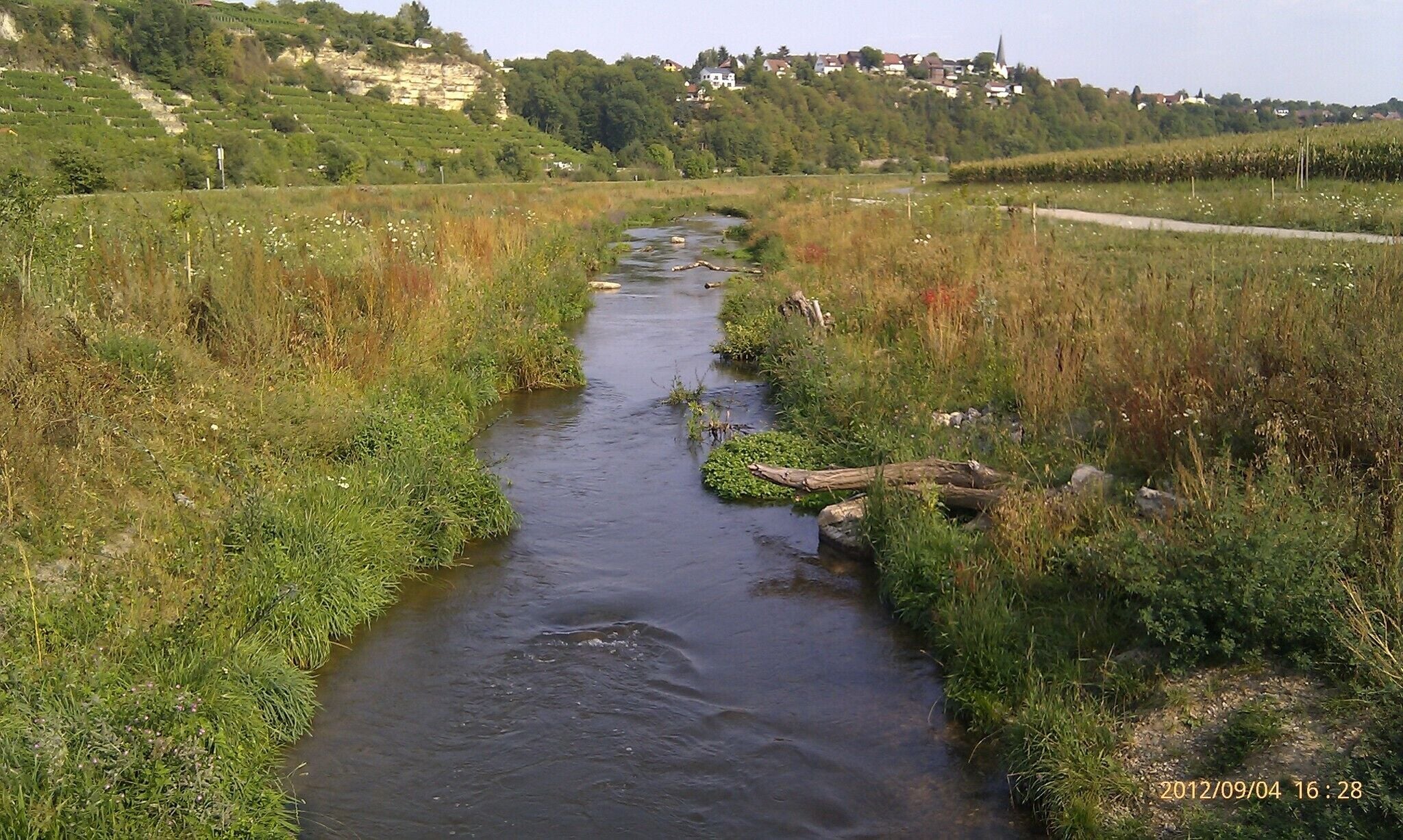 Young Neckar between Ludwigsburg and Marbach