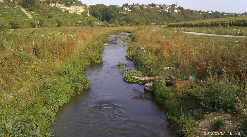 Young Neckar between Ludwigsburg and Marbach