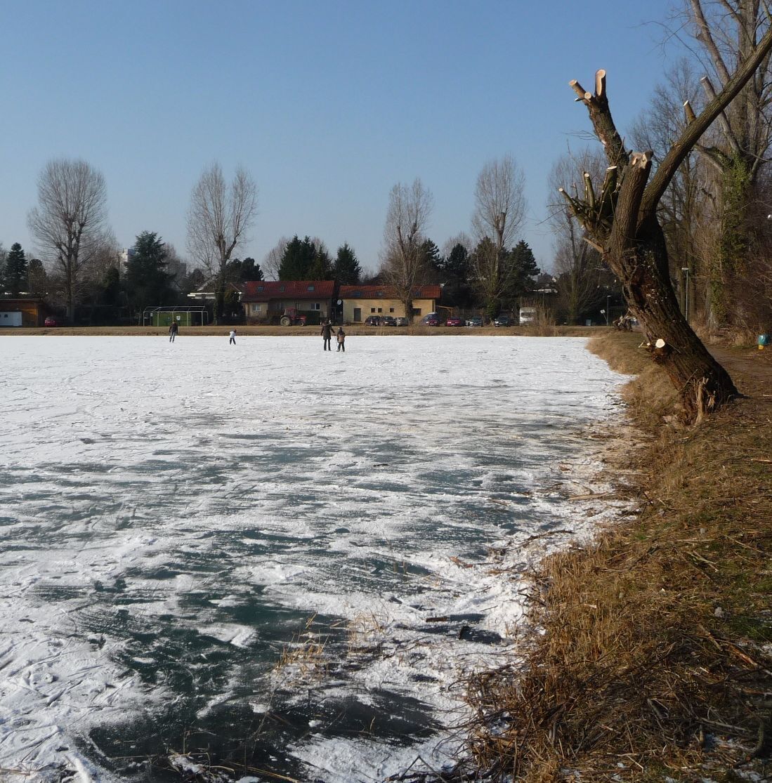 Backsteinweiher im Winter