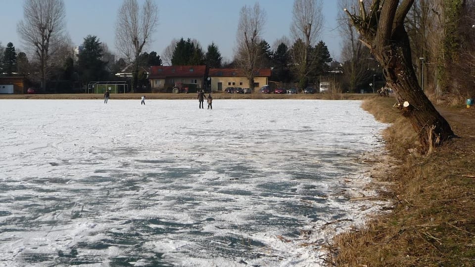 Backsteinweiher im Winter