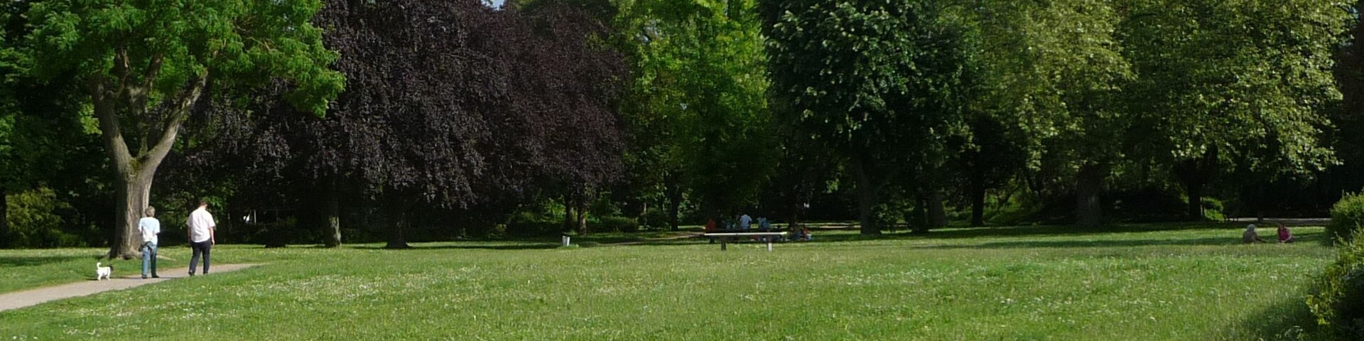 Un parque con un campo cubierto de césped, árboles y un sendero para pasear.