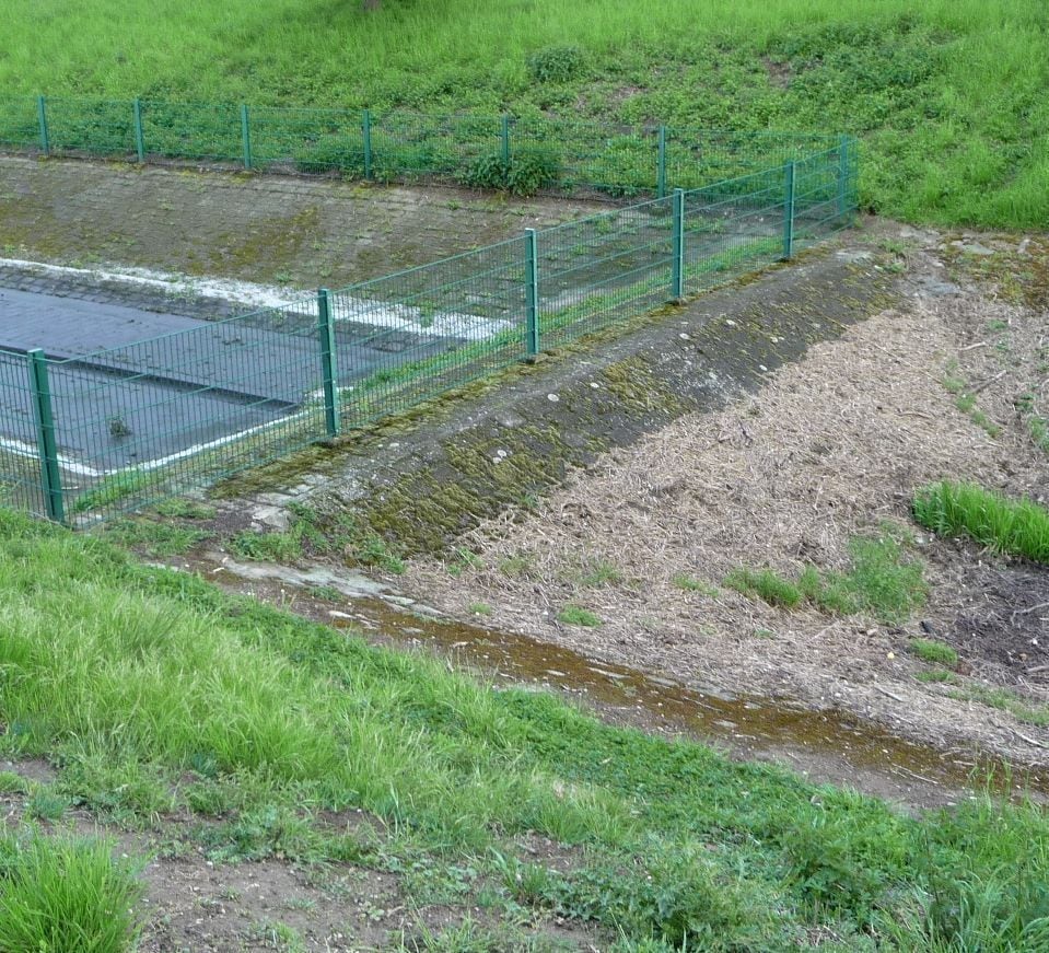 ehemaliger Frankenthaler Kanal