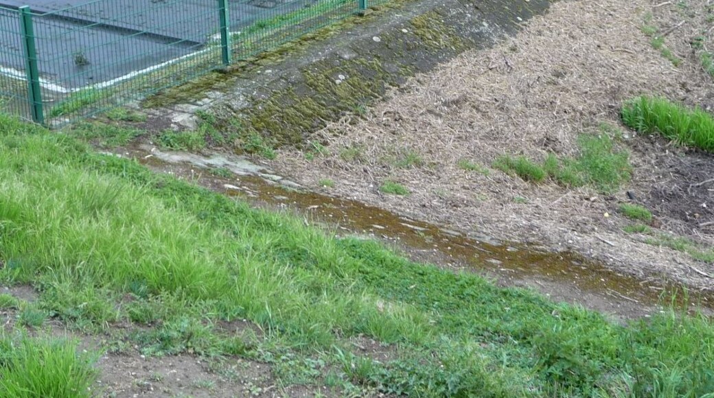 ehemaliger Frankenthaler Kanal