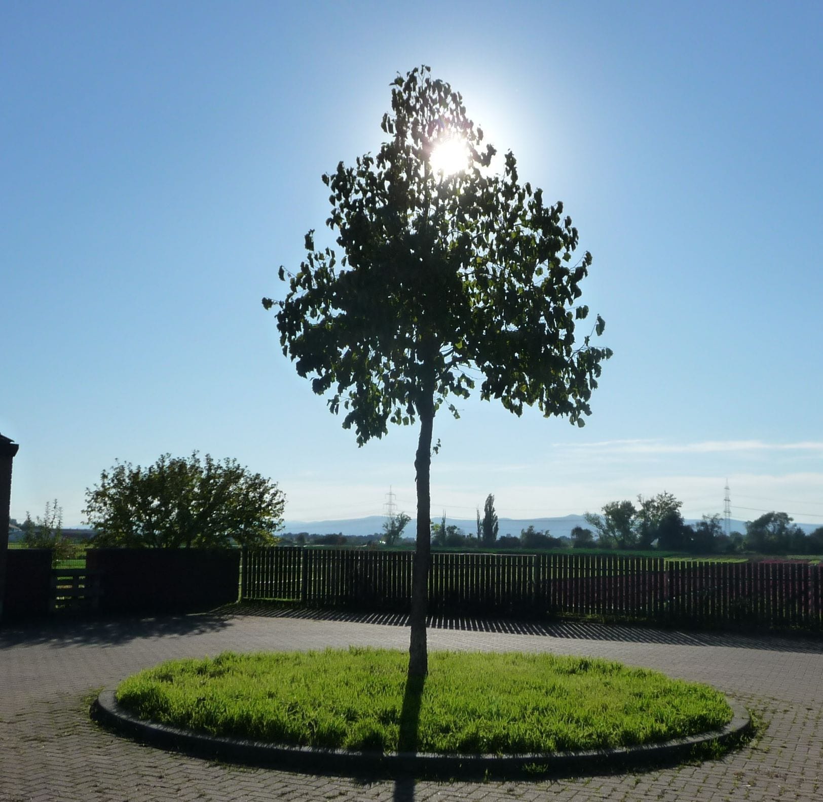 Ruchheim, 67071 Ludwigshafen, Germany