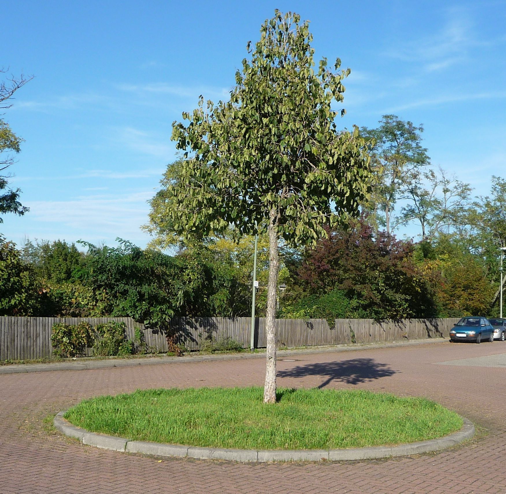 Ruchheim, 67071 Ludwigshafen, Germany