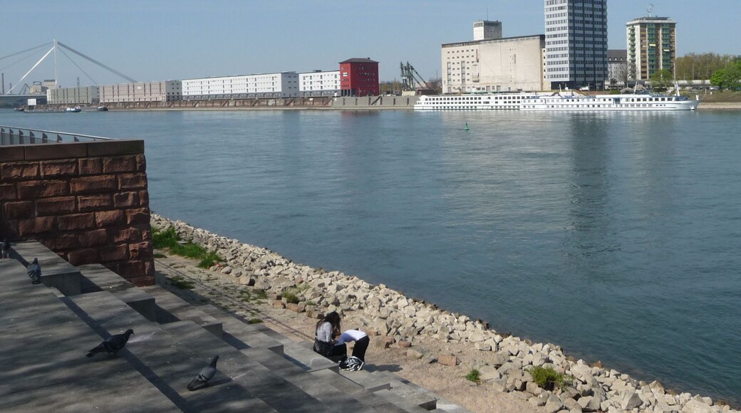 Affenfelsen, Rhein und Mannheimer Hafenanlagen