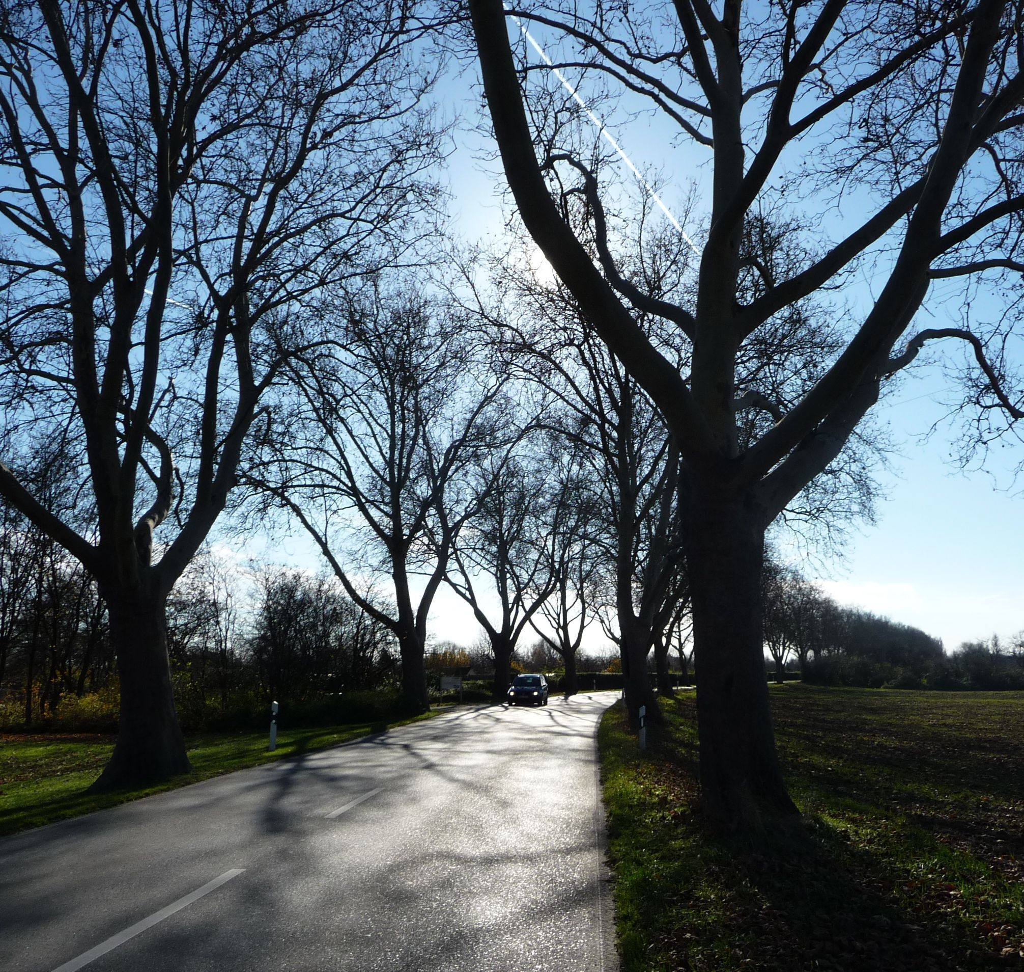 Friesenheim, Ludwigshafen am Rhein, Germany