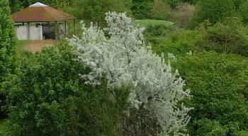 alter Frankenthaler Kanal