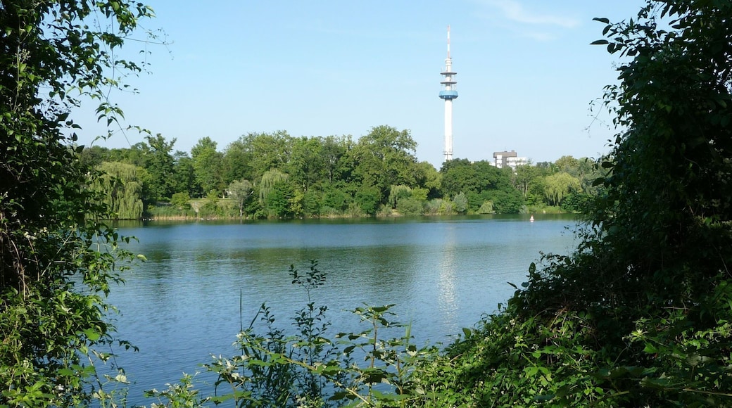 Die Große Blies hat eine Fläche von 8,3 Hektar und eine maximale Tiefe von 12 Metern.