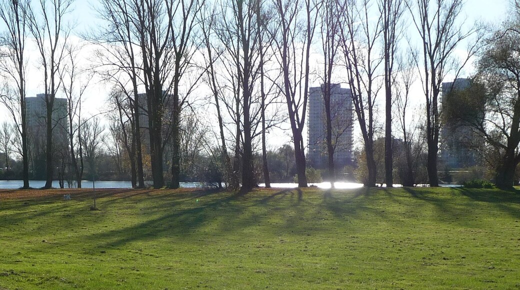 die vier Froschlache-Hochhäuser