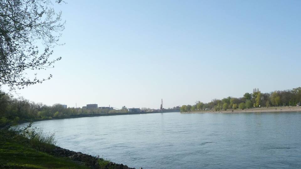 Rhein in Ludwigshafen-Rheingönheim mit Blick nach Mannheim (zum Strandbad)