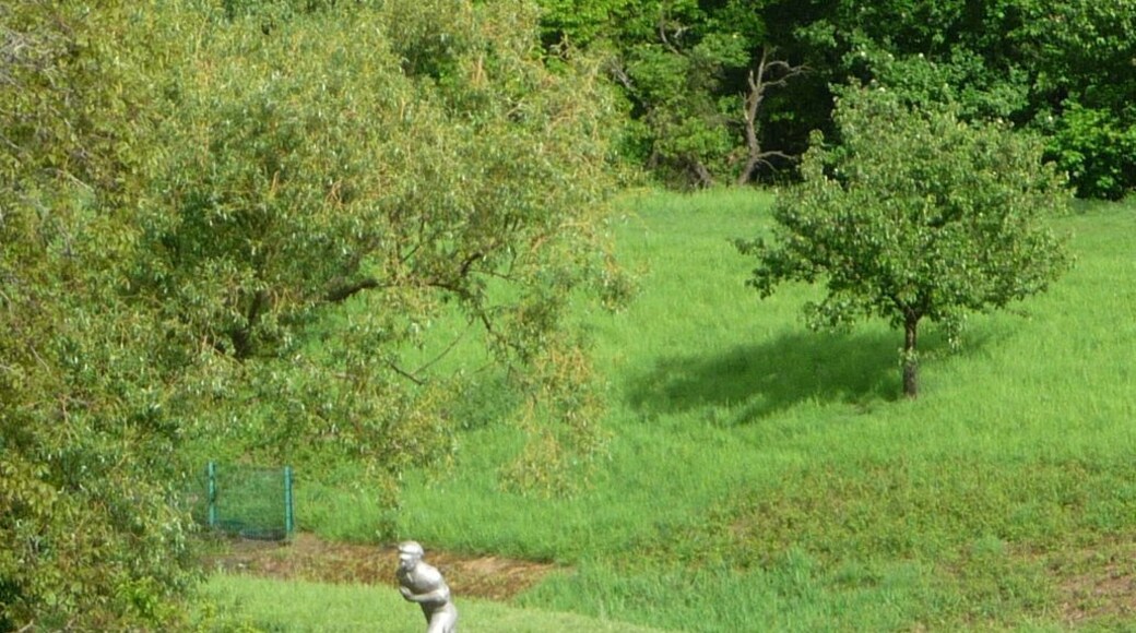 alter Frankenthaler Kanal