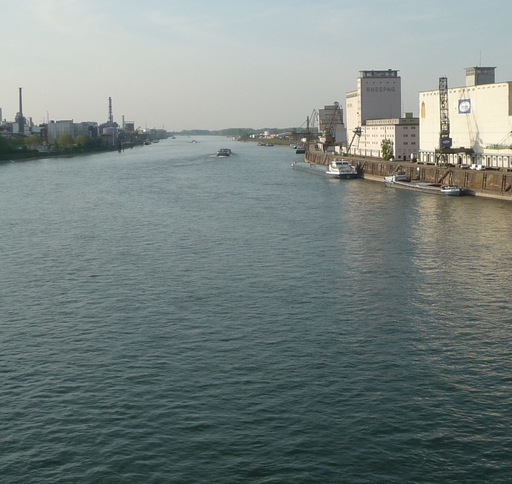 Rhein