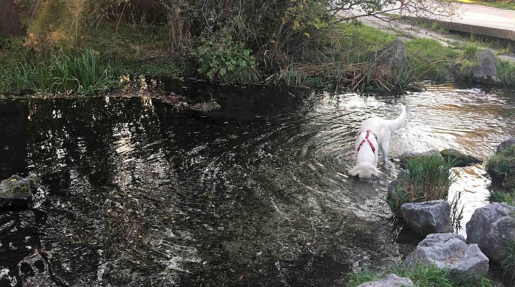 Such a small river but in Summer is wonderful and nice to walk