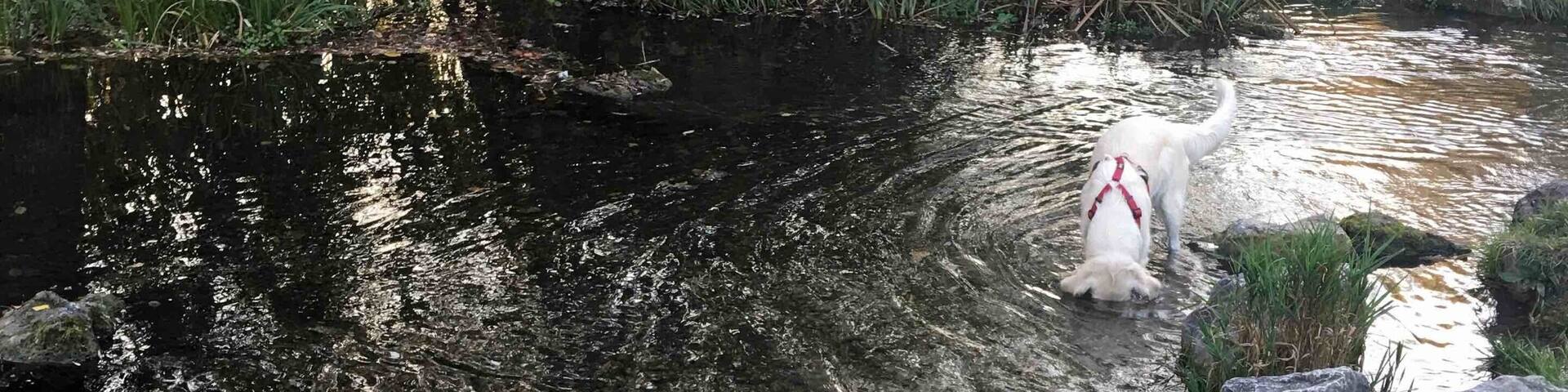 Such a small river but in Summer is wonderful and nice to walk