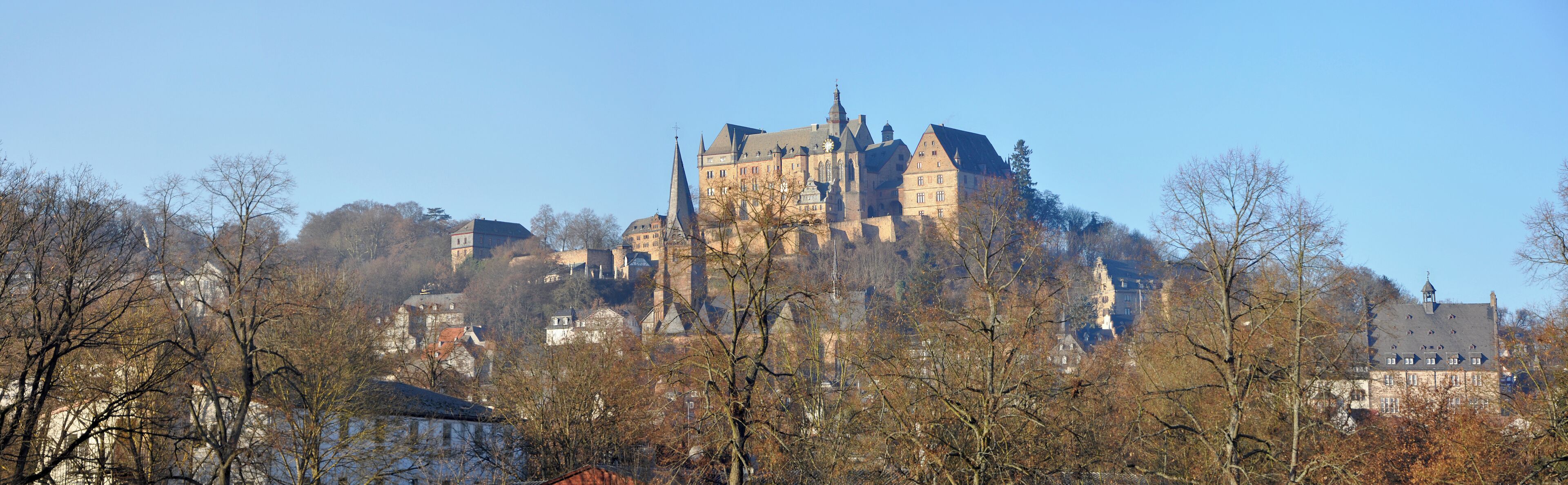 A historic castle on a hill with surrounding trees and buildings.