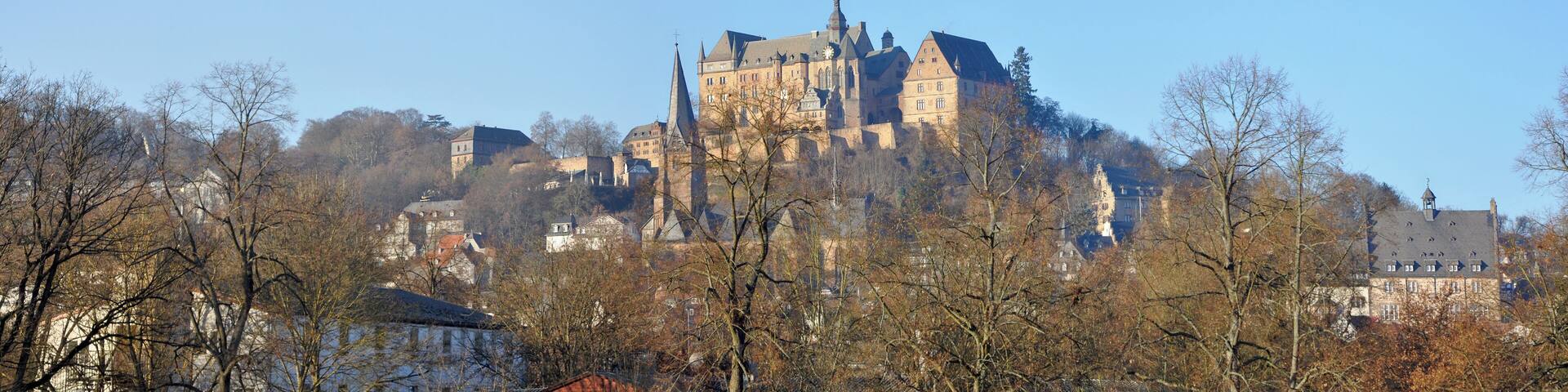 A historic castle on a hill with surrounding trees and buildings.