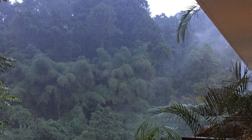 Room with a view #lifeatexpedia