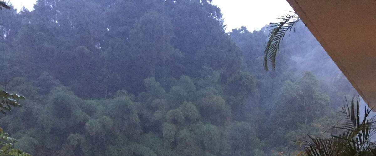 Room with a view #lifeatexpedia