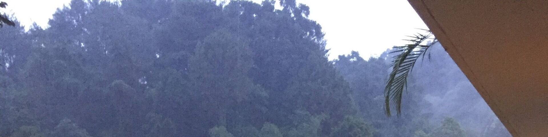 Room with a view #lifeatexpedia