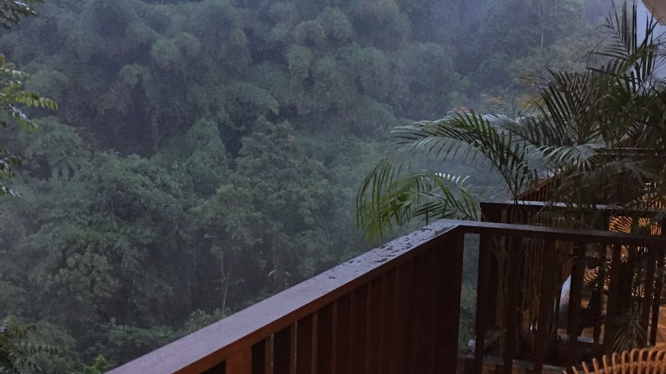 Room with a view #lifeatexpedia