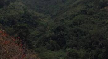 The hotel is right above the valley. The view oversees the green, lush valley below. Very captivating!