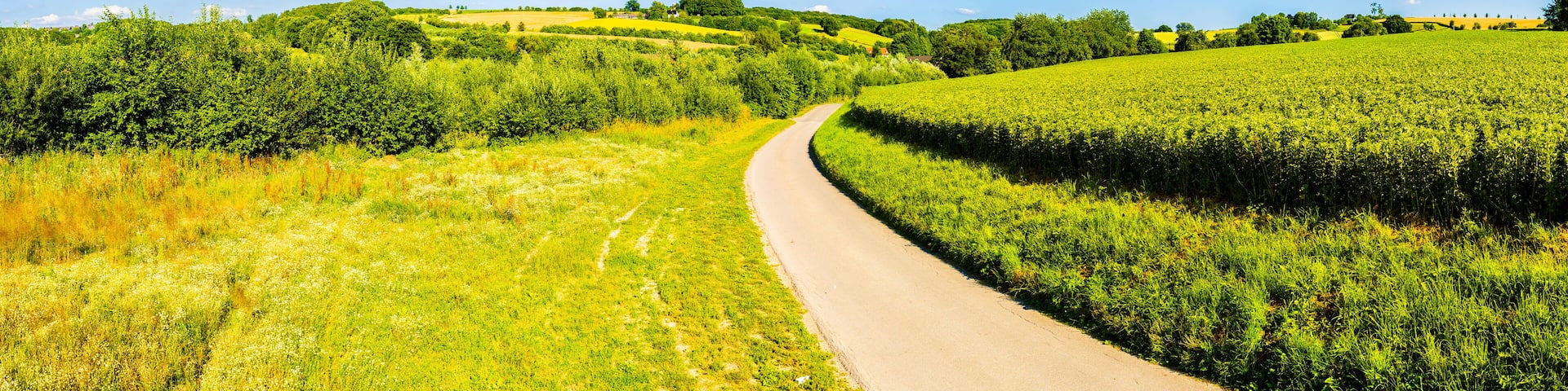 Road through a rural summer landscape