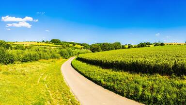 Road through a rural summer landscape
