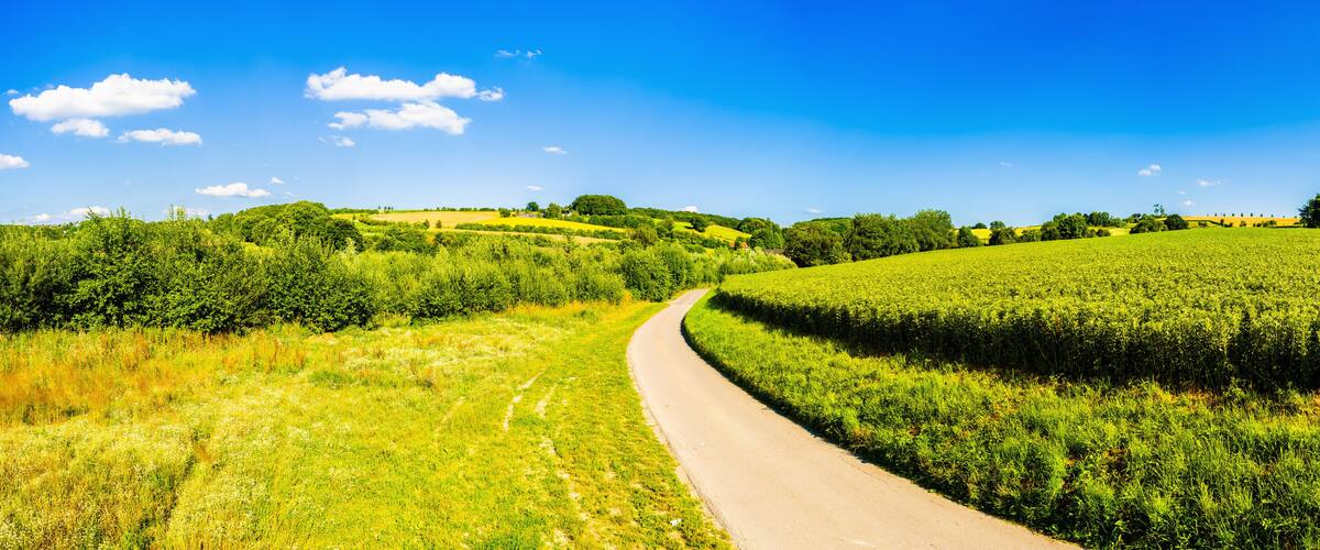 A rural road winding through green fields and hills under a clear blue sky.