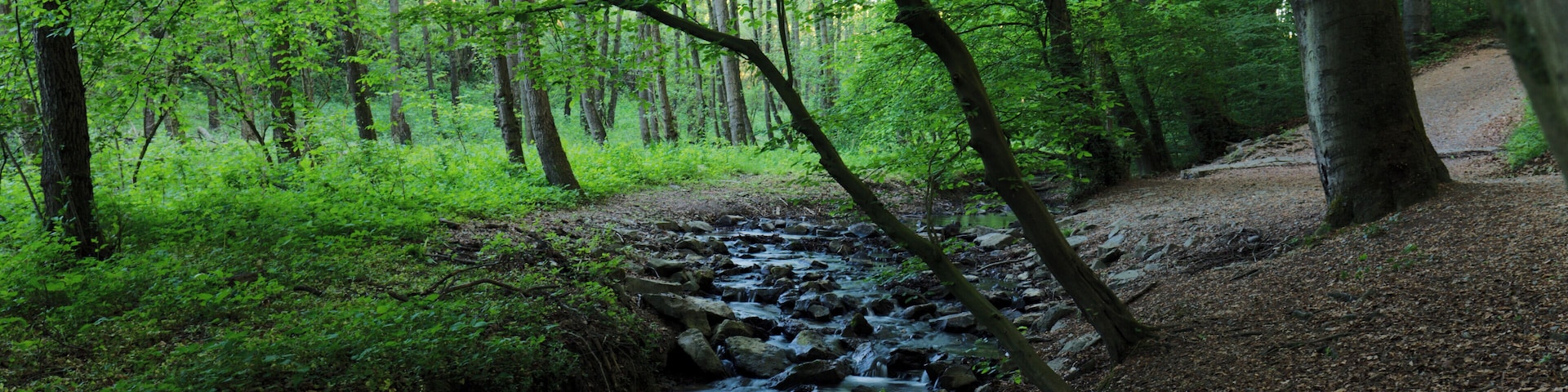 Der Stinderbach