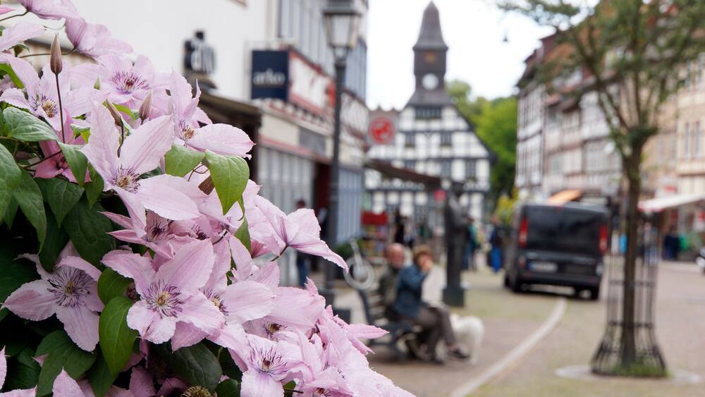 Historisches Rathaus in der Altstadt