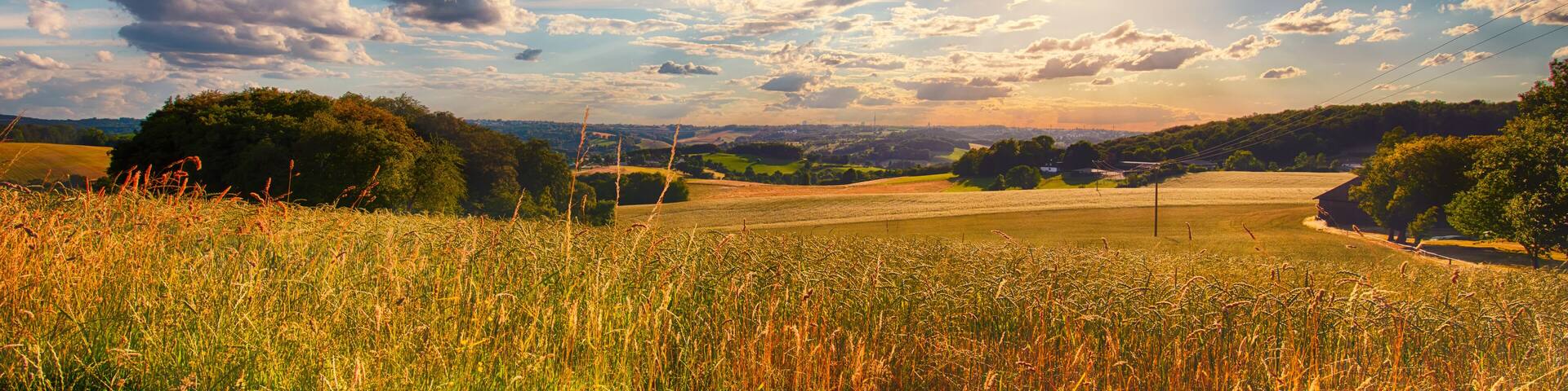 A rural landscape with a field, trees, and a clear sky with clouds.